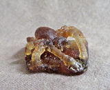 Native Zuni Amber Mini Spider Fetish Carving by Lewis Malie - C4894