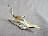 Native Zuni Antler Mini Roadrunner Fetish Carving by Ruben Najera C4867