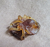 Native Zuni Amber Mini Spider Fetish Carving by Lewis Malie - C4894