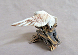 Native Zuni Antler Eagle w/ trapped Mouse Fetish Carving by Ruben Najera C4874