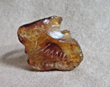 Native Zuni Amber Mini Spider Fetish Carving by Lewis Malie - C4894