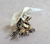 Native Zuni Antler Eagle w/ trapped Mouse Fetish Carving by Ruben Najera C4874