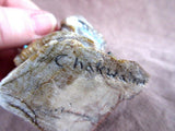 Zuni Museum Quality Picasso Marble Chakwaina Kachina by Derrick Kaamasee C834